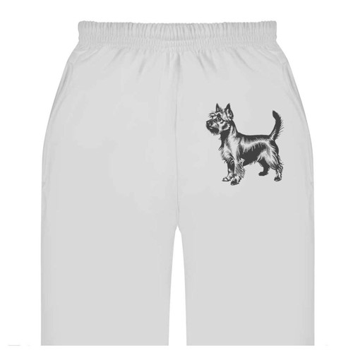 Silky terrier dog adult - 'silky,