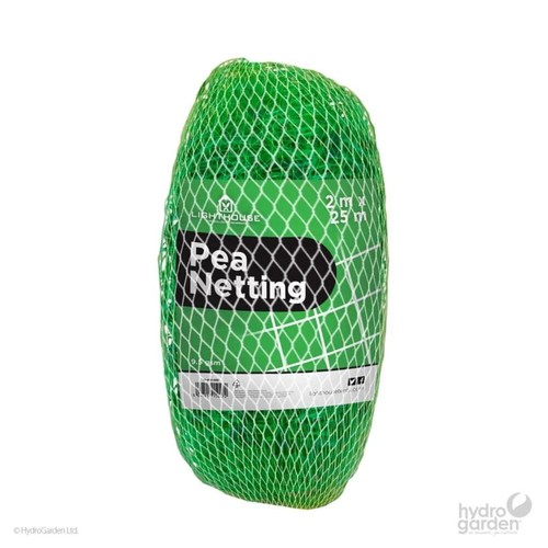 Pea and bean - bean, plant