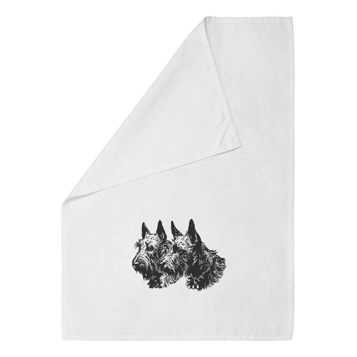 Scottish terrier couple - 'scottish,