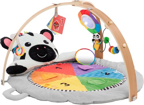 Baby einstein zen activity - einstein,