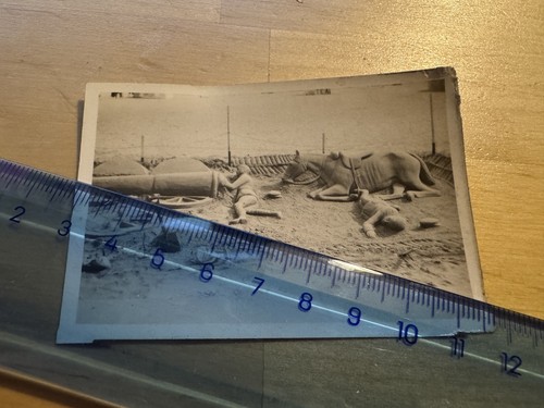 Photo sand artist - -,