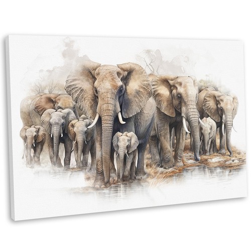 African elephant herd canvas - elephant,