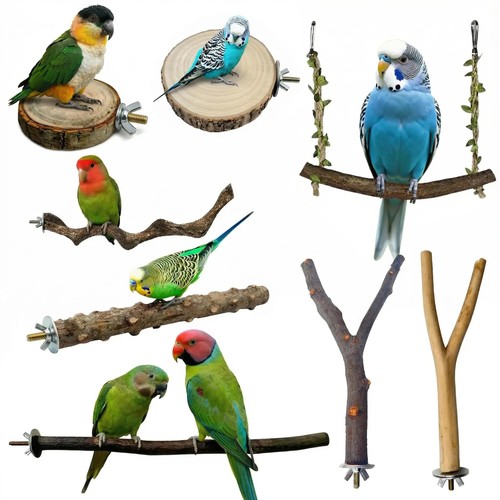 Pcs natural bird - 8,
