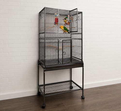 Large parrot bird cage - bird, on