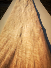 BIRDS EYE MAPLE Veneer  220 cm