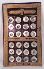 24 Abalone Shell Buttons Store