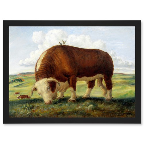 Curry ajax hereford bull - ajax,