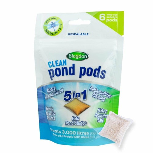 Blagdon clean pond - blagdon, kill