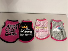 4 Pack Chihuahua/Teacup Dogs