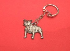 Staffordshire bull dog - staffordshire, terrier