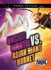 Orchid Mantis Vs. Asian Giant