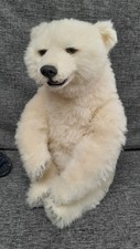 Artist one kind bears - kind,