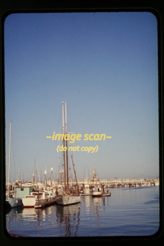 Deep sea saltwater fishing - deep,
