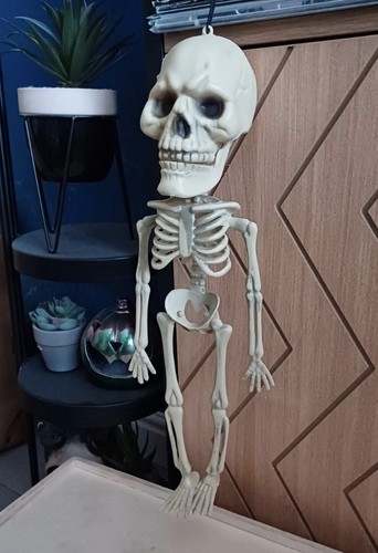 Hanging skeleton skull - hanging, big