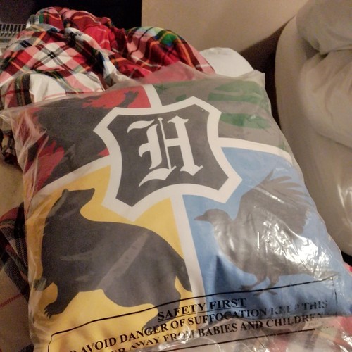 Harry potter hogwarts cushion - harry,