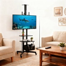 Mobile TV Stand Home Mount
