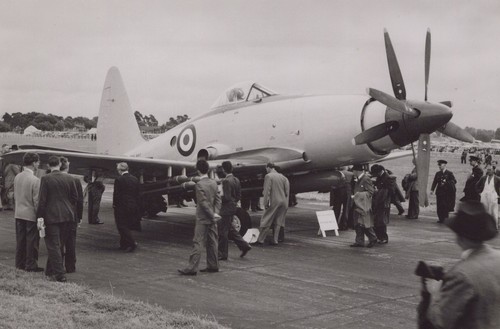 Westland wyvern royal - wyvern, navy
