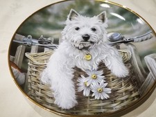  Danbury Mint Collectors Plate "Hitching a Ride" By Paul Doyle 'WESTIES' Series 