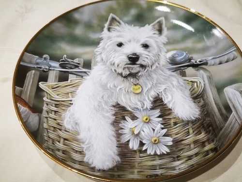 Danbury mint collectors plate - mint,