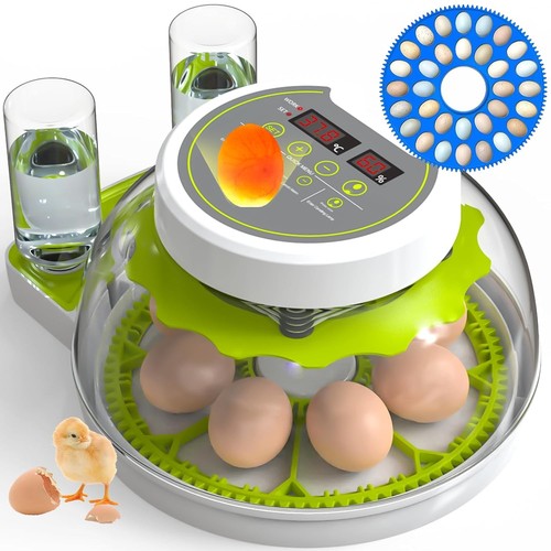 Dezhxhe egg incubators for - dezhxhe,