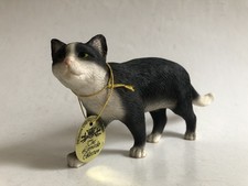 Leonardo Black & White Cat