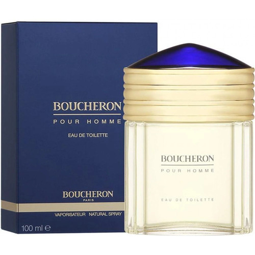 Boucheron pour homme 100ml - boucheron, edt