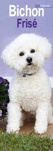 Bichon frise 2026 slim - frise,