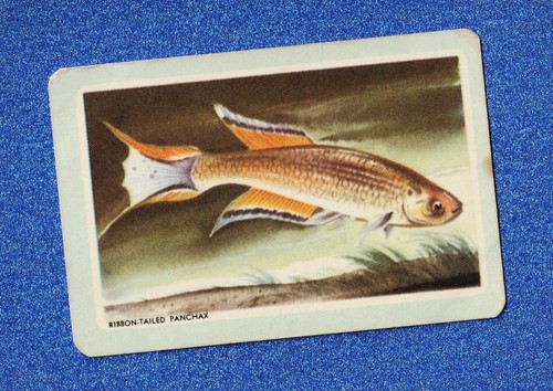 Vintage woolworths fish swap - vintage,