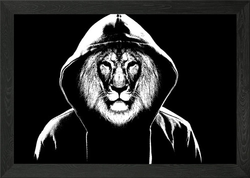 Hooded lion framed wall art - hooded,