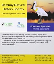 RSPB Pin Badge Special Bird