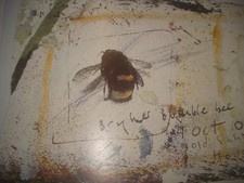 SKETCHBOOKS 2003-2004 -