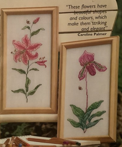 Cross stitch chart the - stitch,