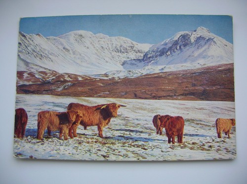 Skye postcard highland - skye,