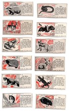 Some Countryside Animals 1955