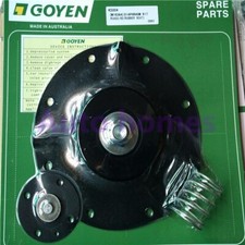 Diaphragm Repair Kit for Pulse