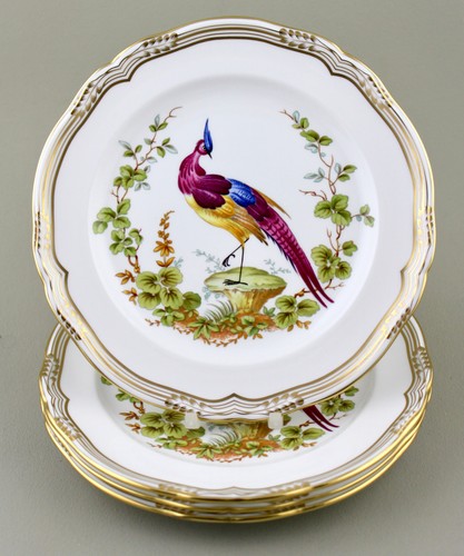 Spode england chelsea - chelsea, bird