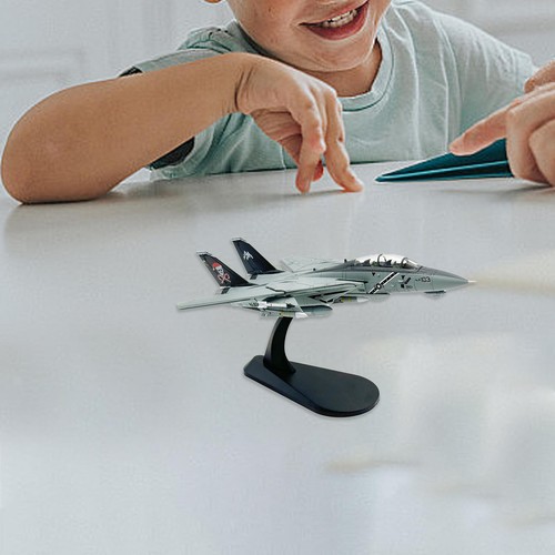 100 scale fighter model - 1/100,