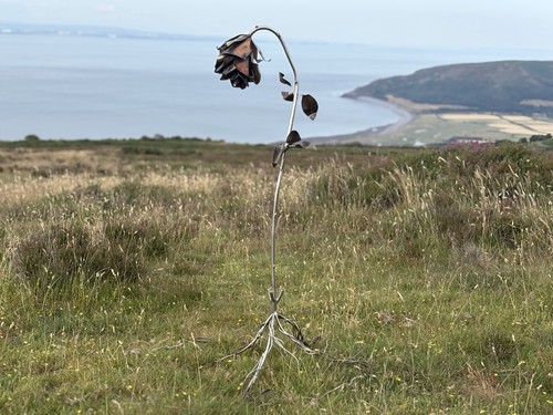 Metal rose sculpture the - metal,