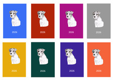 Parson Russell Terrier 2026