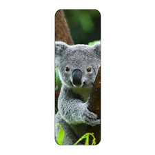 KOALA BEAR ANIMAL BEAUTIFUL