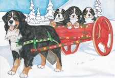 Bernese Mountain Dog Cart with