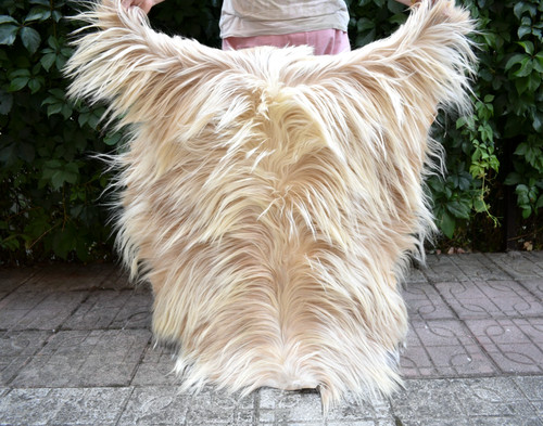 Angora goat leather - goat,