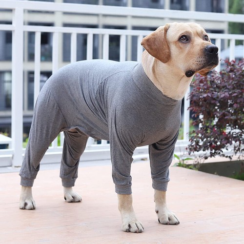 New pet puppy bodysuit - new,