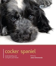 c*cker Spaniel: c*cker Spaniel