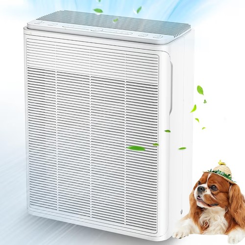 H13 hepa air purifier - h13, for