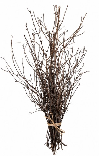 Natural dried english - dried,
