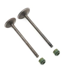 VALVE SET INTAKE EXHAUST & VALVE SEALS SUZUKI GN GZ GS DR125 12911-04B00