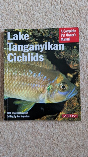 Lake tanganyikan cichlids - lake,