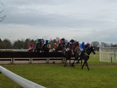 Photo national hunt horse - photo, a1