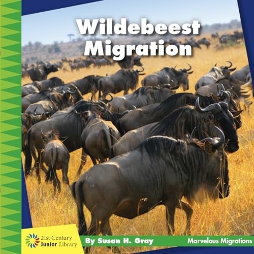 Wildebeest migration 21st - wildebeest,